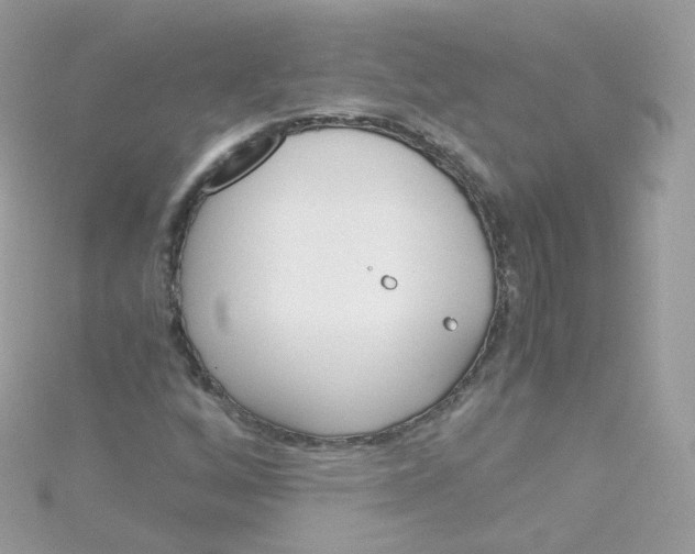 X0000115701256200911251827