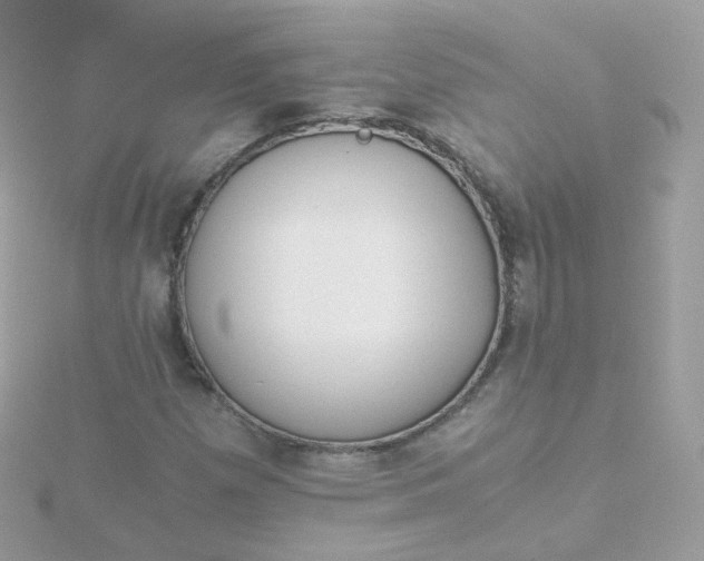 X0000115701257200911251827