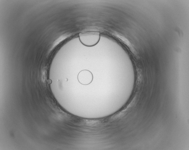 X0000115701258200911251827