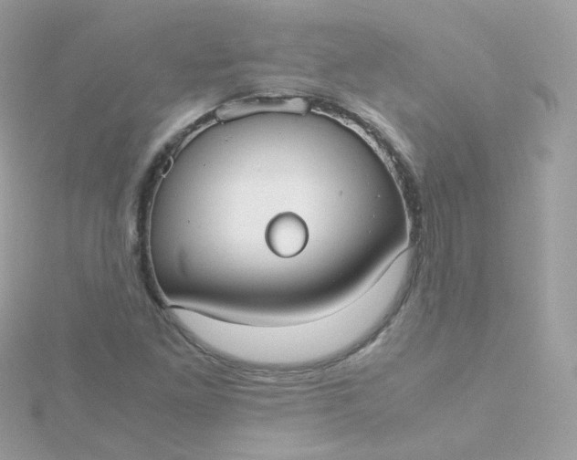 X0000115701261200911251827