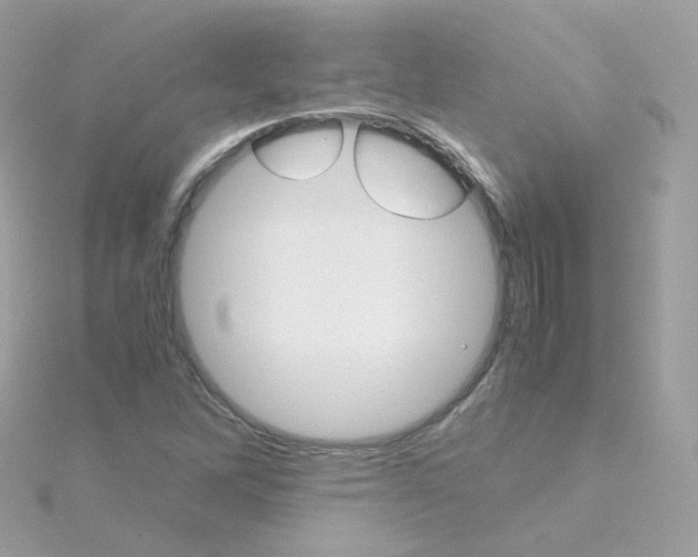 X0000115701262200911251827