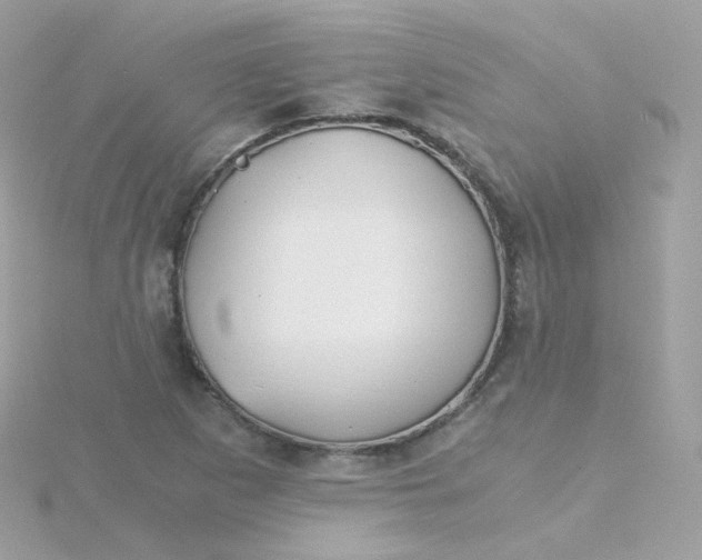 X0000115701265200911251827