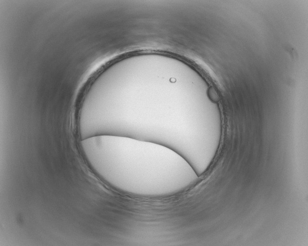 X0000115701270200911251827