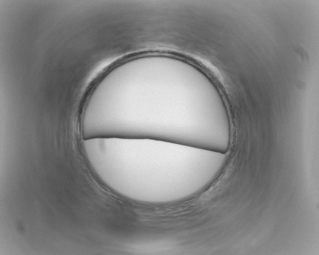 X0000115701271200911251827