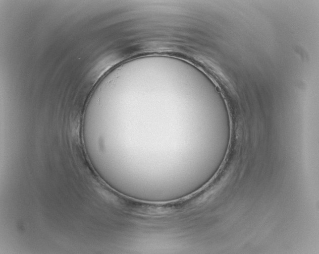 X0000115701273200911251827