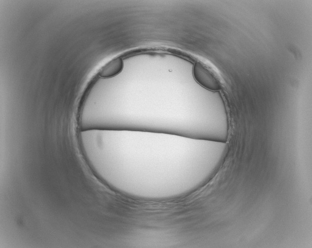 X0000115701279200911251826