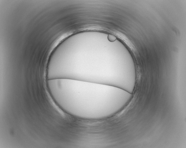 X0000115701282200911251826