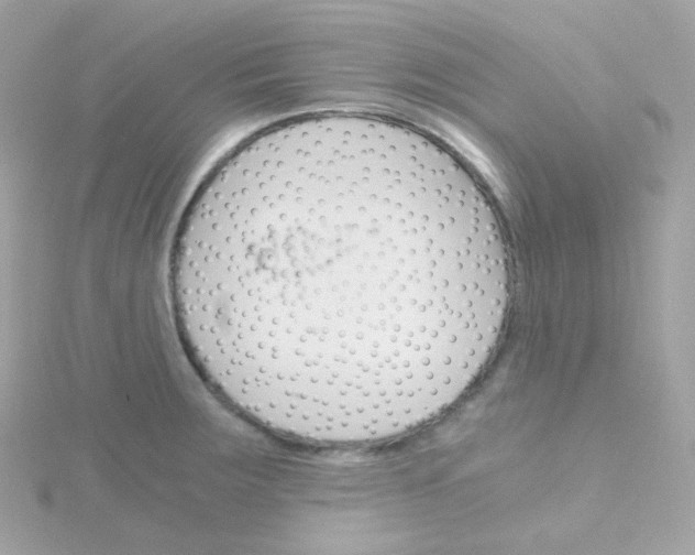 X0000115701283200911251826