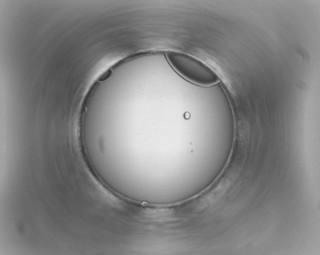 X0000115701285200911251826