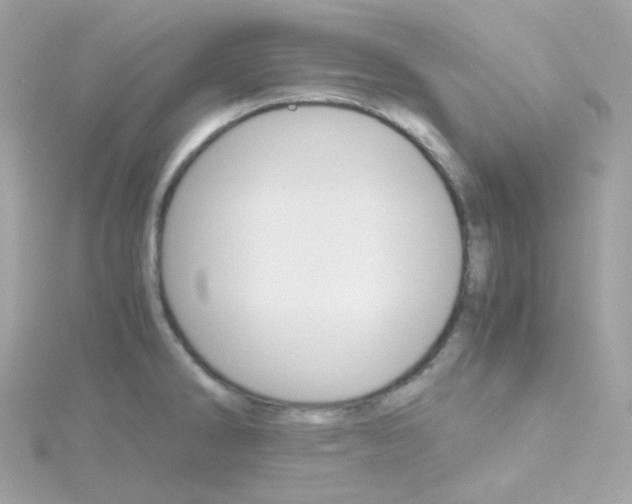 X0000115701286200911251826