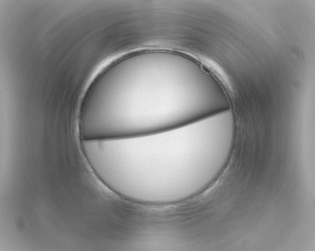 X0000115701288200911251826