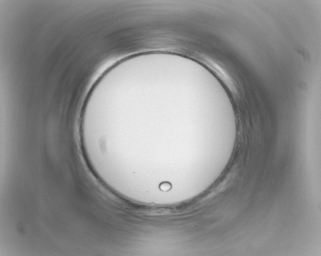 X0000115701291200911251826