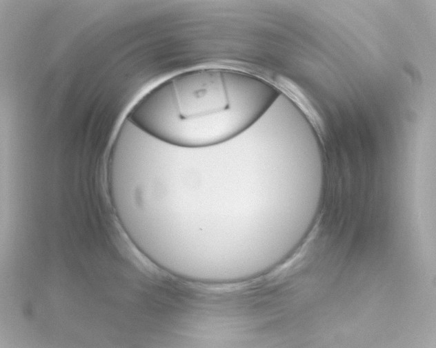 X0000115701292200911251826