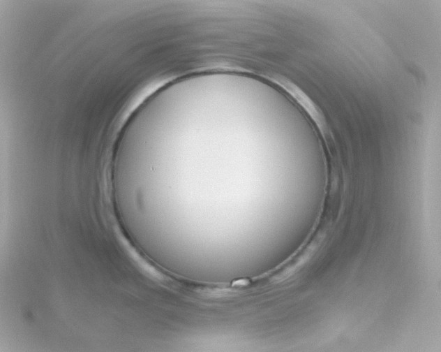 X0000115701293200911251826