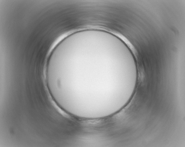 X0000115701294200911251826