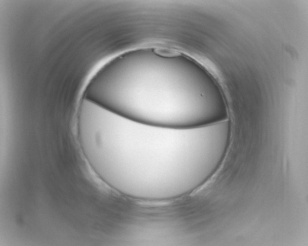 X0000115701296200911251826