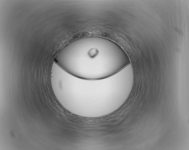 X0000115701298200911251825