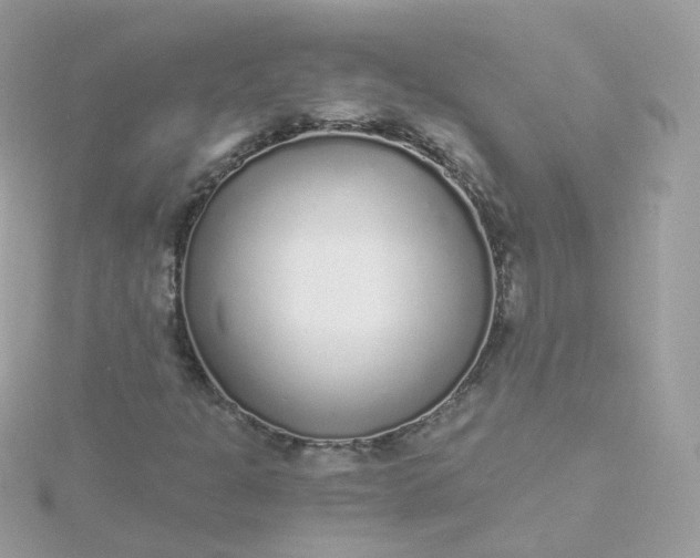 X0000115701301200911251826