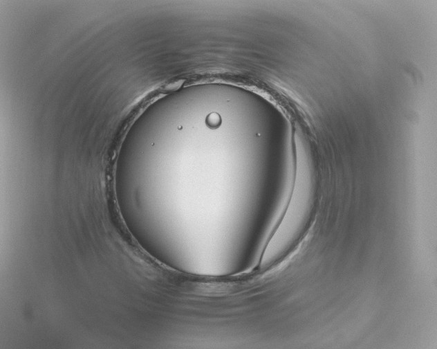 X0000115701305200911251826