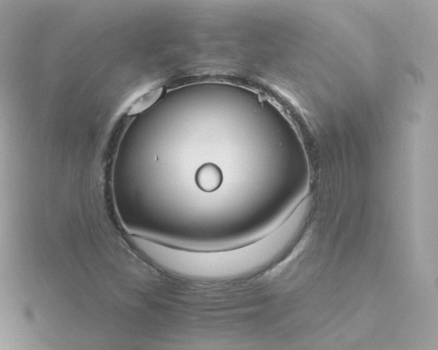 X0000115701309200911251826