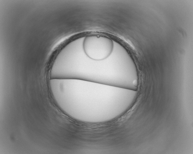 X0000115701311200911251826