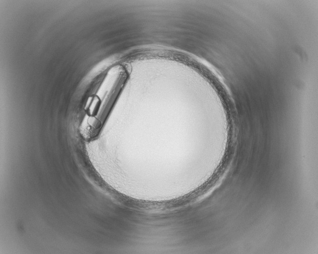 X0000115701314200911251826