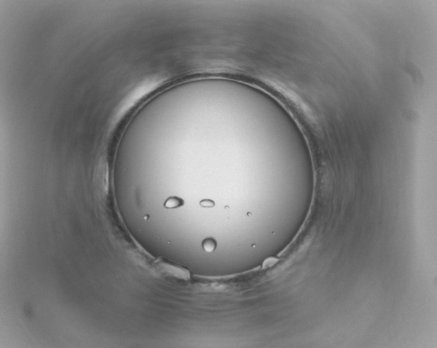 X0000115701317200911251826