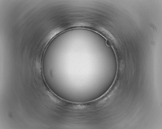 X0000115701321200911251826