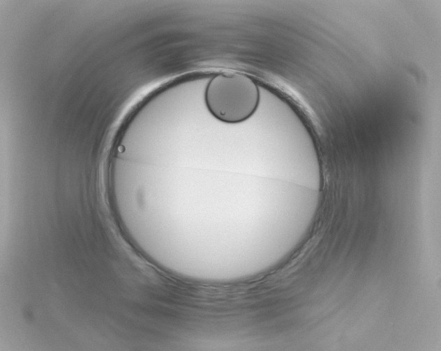 X0000115701323200911251826