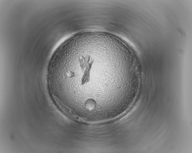 X0000115701325200911251826