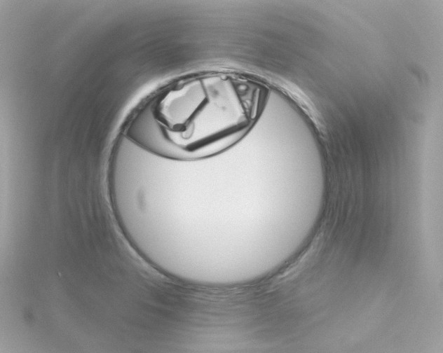 X0000115701326200911251826