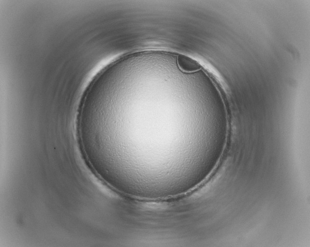 X0000115701333200911251826