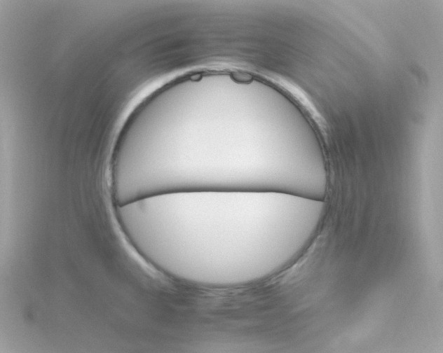 X0000115701335200911251826