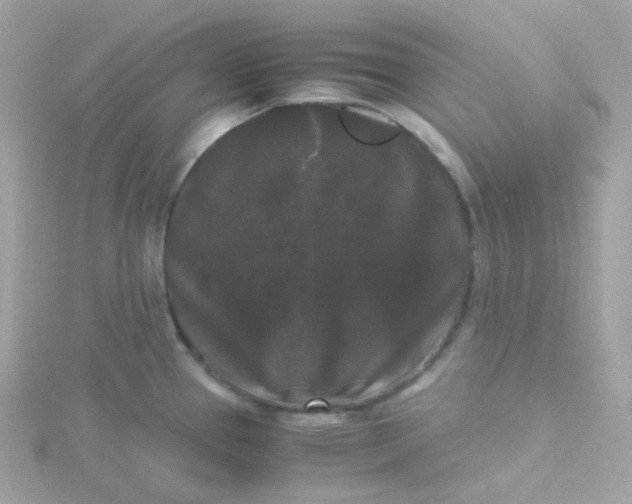 X0000115701337200911251826