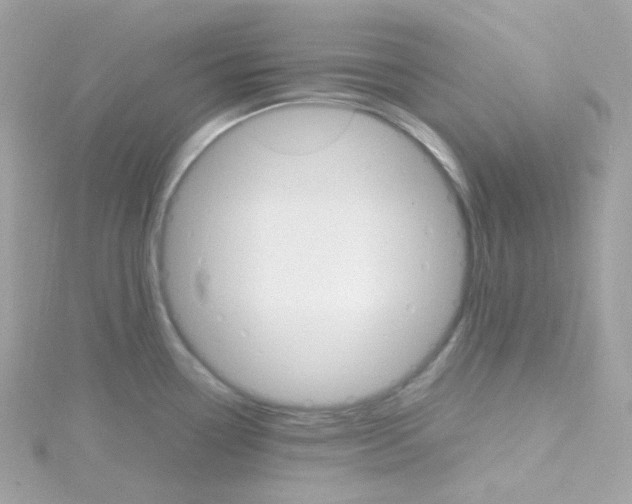 X0000115701338200911251826