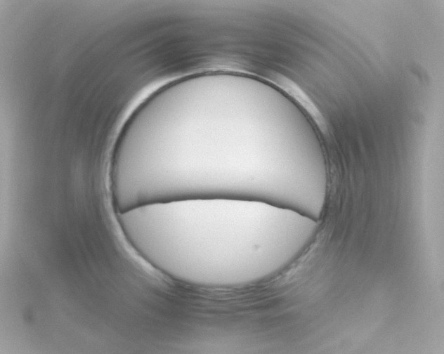 X0000115701339200911251826