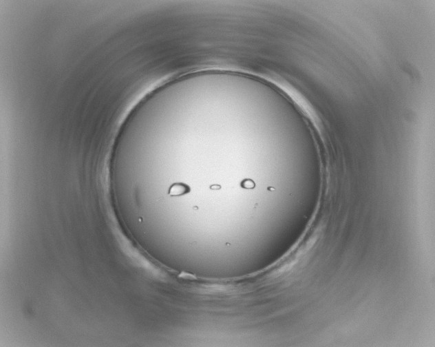 X0000115701341200911251826