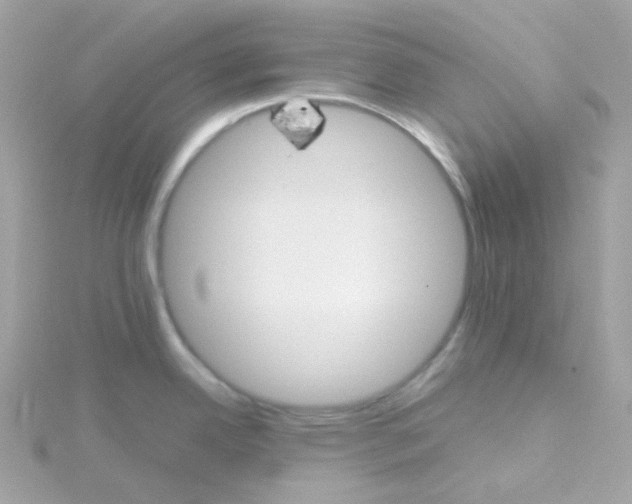 X0000115701342200911251826