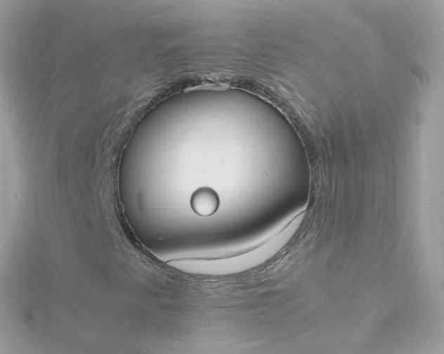 X0000115701345200911251825