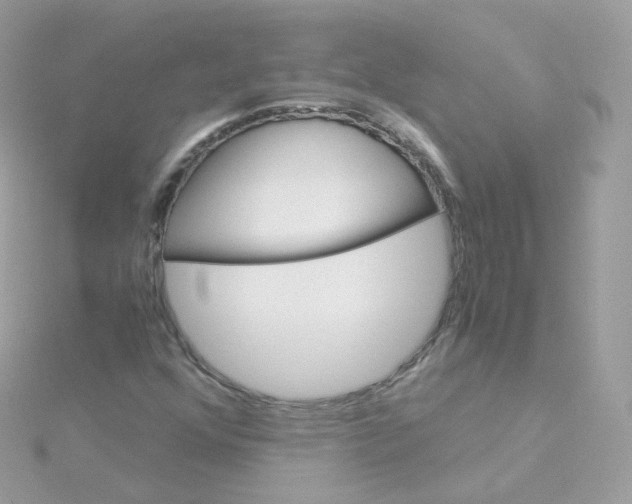 X0000115701352200911251825