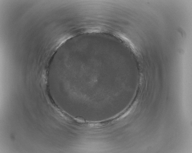 X0000115701353200911251825