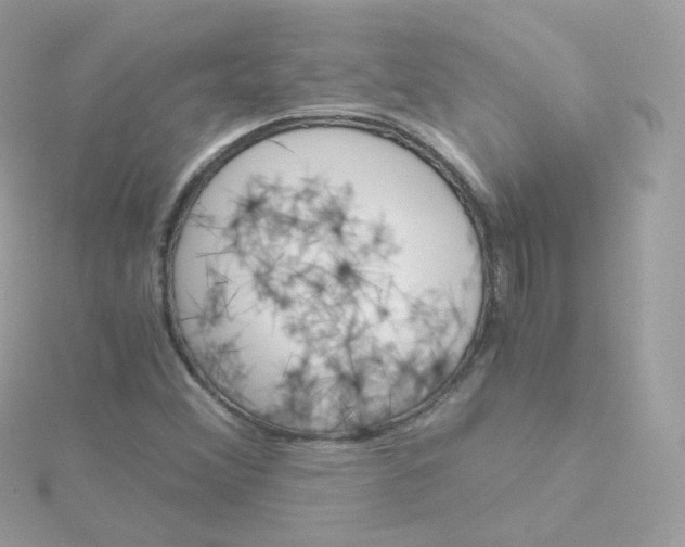 X0000115701356200911251825