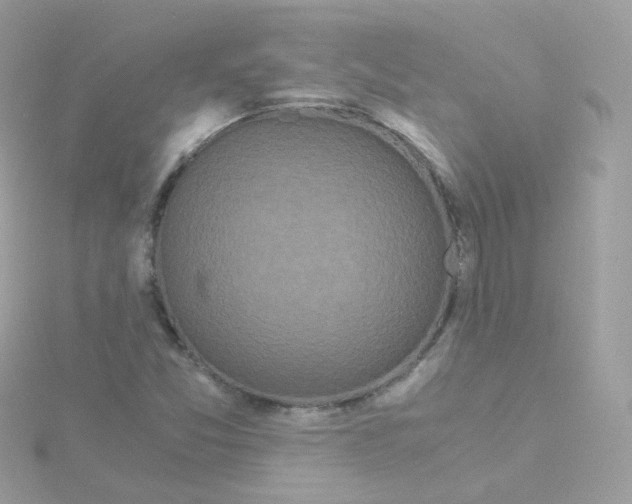 X0000115701357200911251825