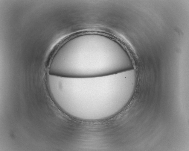 X0000115701360200911251825