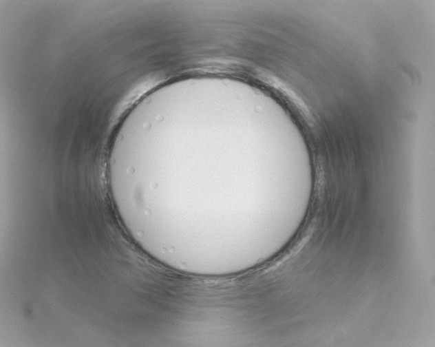 X0000115701362200911251825