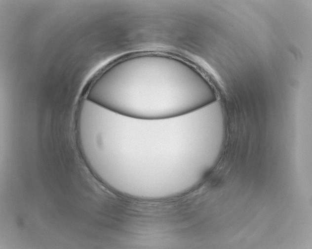 X0000115701364200911251825