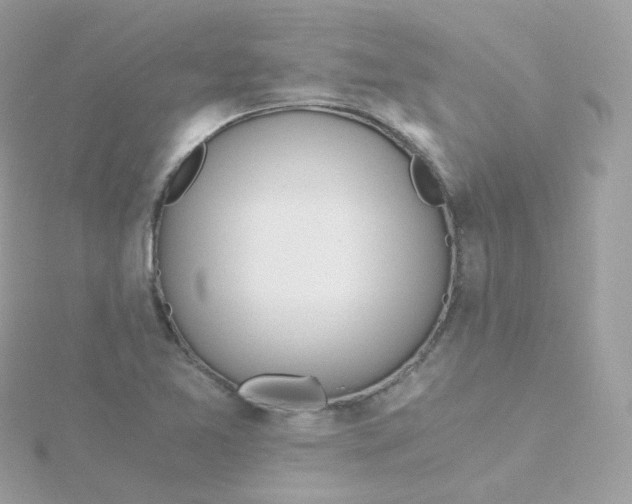 X0000115701365200911251825