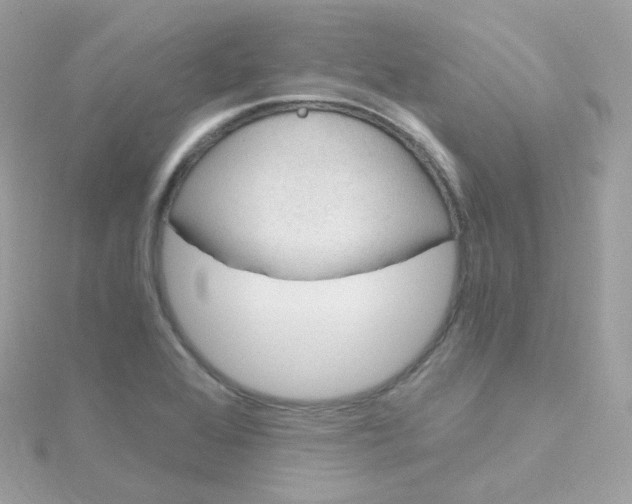 X0000115701368200911251825