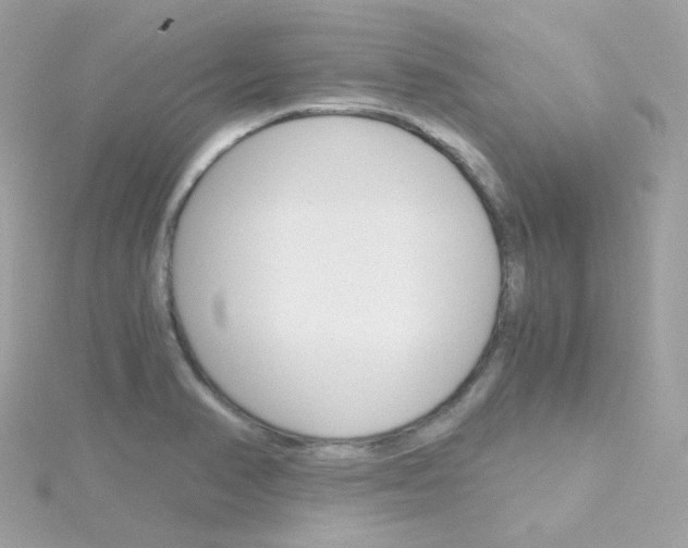 X0000115701374200911251825