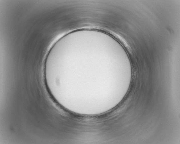 X0000115701375200911251825